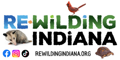 Writer: Re-Wilding Indiana, guest writer