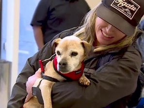 Owner reunites with 16-year-old dog missing 7 years