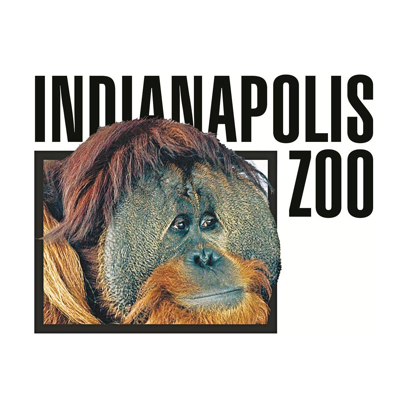Writer: Indianapolis Zoo