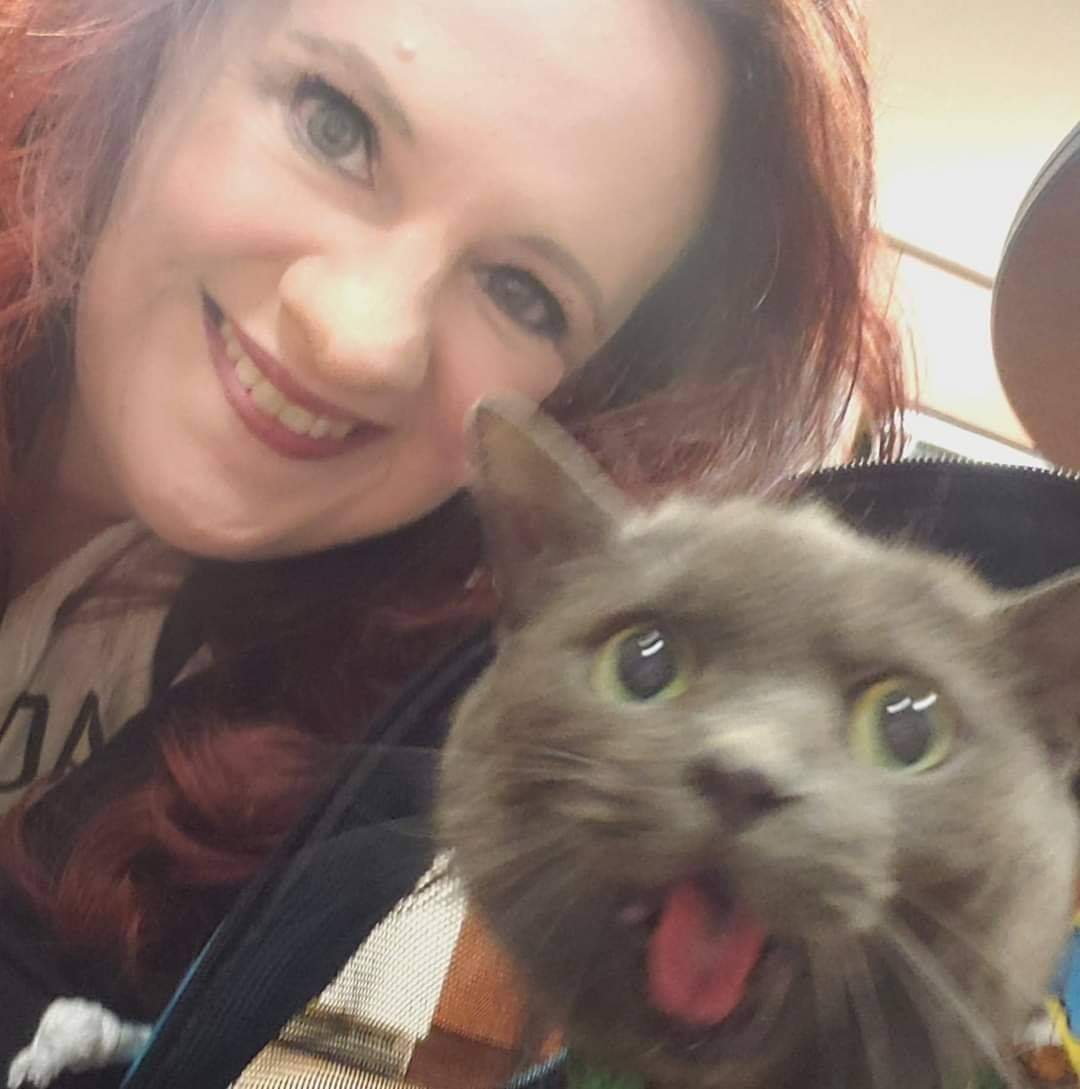 Writer: KJ, Your Kitty Correspondent