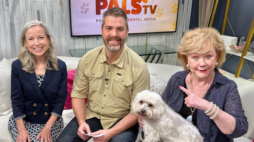 American Dog Whisperer shares training secrets