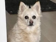 I'm Mona! Adopt me!