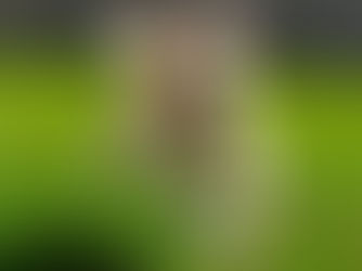 Hoosier author's mischievous dog inspires children's books