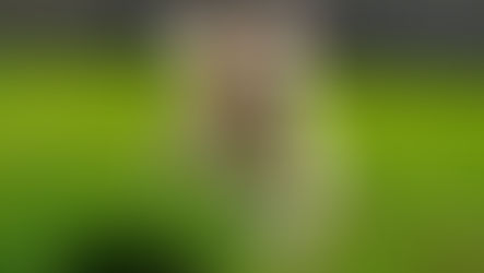 Hoosier author's mischievous dog inspires children's books