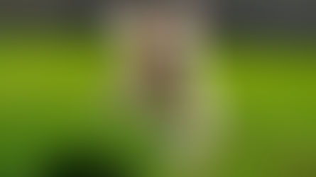 Hoosier author's mischievous dog inspires children's books