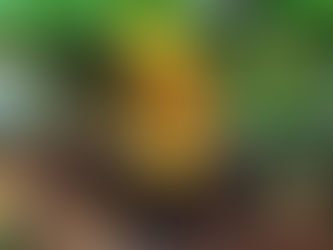 Rrrrrribit! I'm toxic!