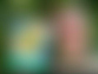 Sweet children's book grew out of pandemic