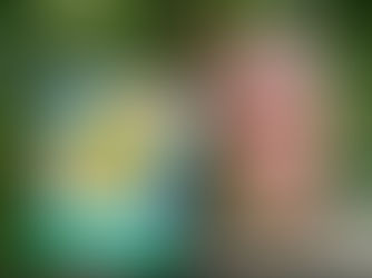 Sweet children's book grew out of pandemic