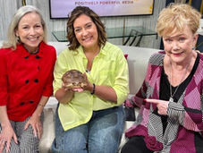 Tortoise is an educational embassador