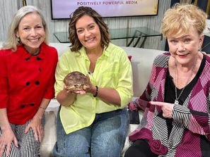 Tortoise is an educational embassador