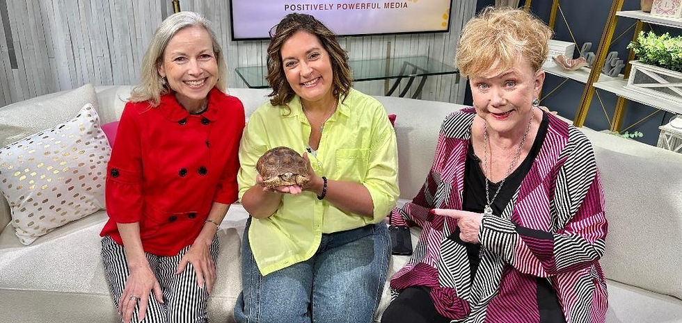 Tortoise is an educational embassador