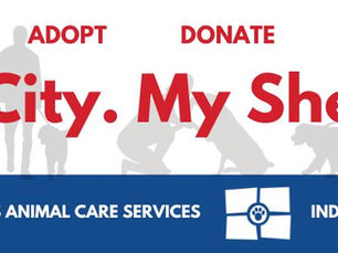 IACS is at critical capacity: Here's how you can help