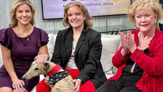 Meet Grady 2 - UIndy's newest mascot!