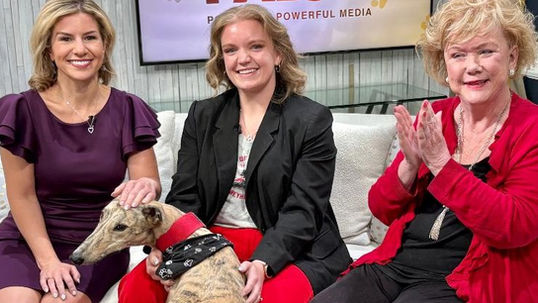 Meet Grady 2 - UIndy's newest mascot!