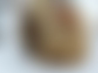 Russian farmers have unusual cats