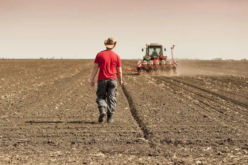 plantio-eficiente (2).webp