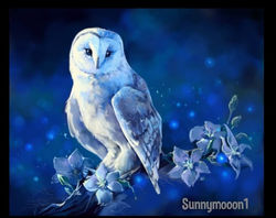 Sunnymooon1