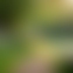 Healing After Narcissistic Abuse: A Guide