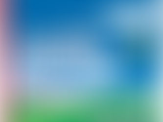 Claritin 24 Hour Non-Drowsy Allergy Relief Liqui-Gels, 10 mg, 10 Ct