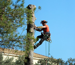 work-1861734_1920.jpg