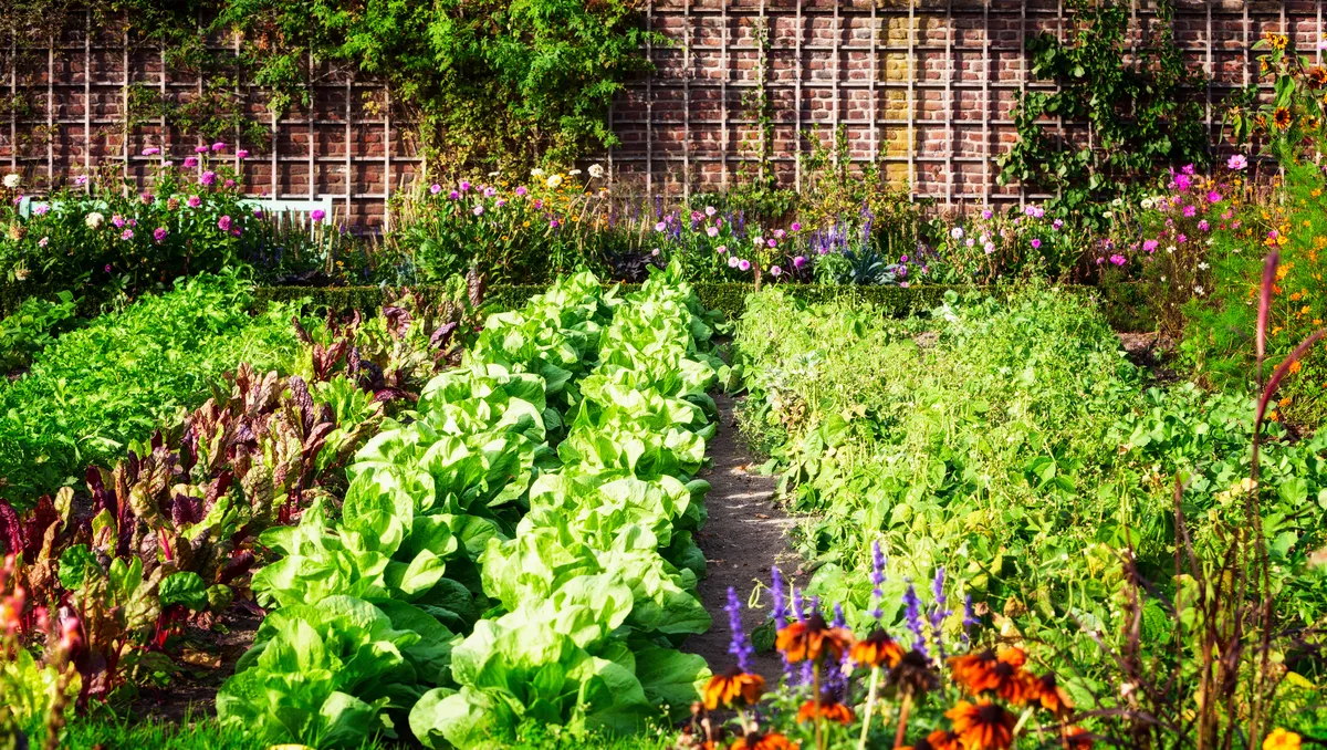 GardenGettyImages--1-.webp