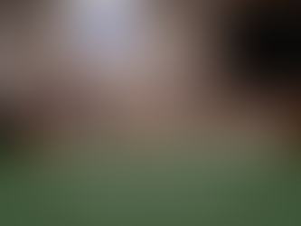 Parks, Psilocybin, and Public Money: Recap of the August 19th Arvada City Council Meeting