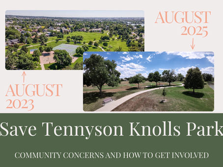 Save Tennyson Knolls Park: Updates from the City and Concerns from Neighbors