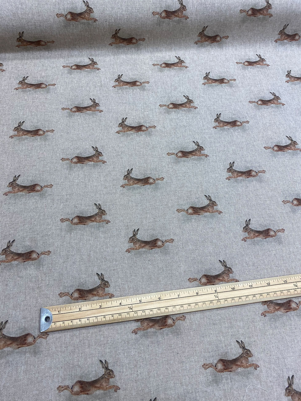 Thumbnail: Hare all over