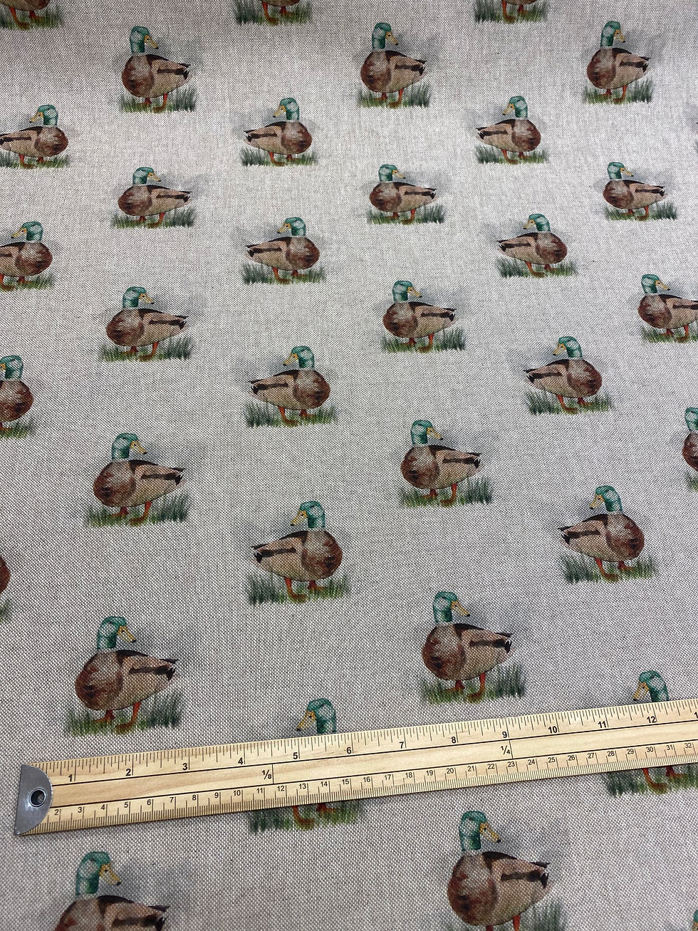 Thumbnail: Mallard all over