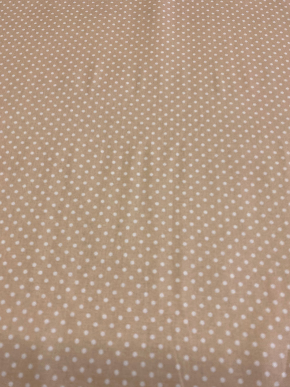 Thumbnail: Beige Polka Dot Poplin