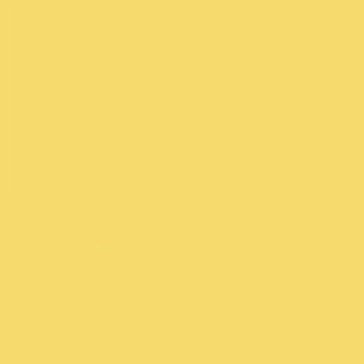 Maize - Y02