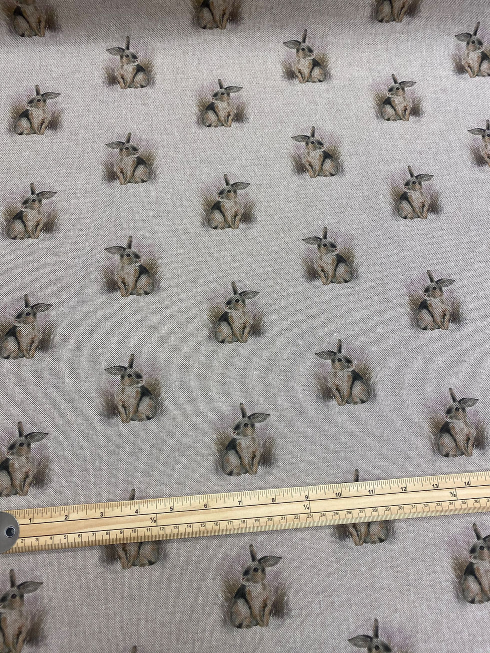 Thumbnail: Rabbit all over