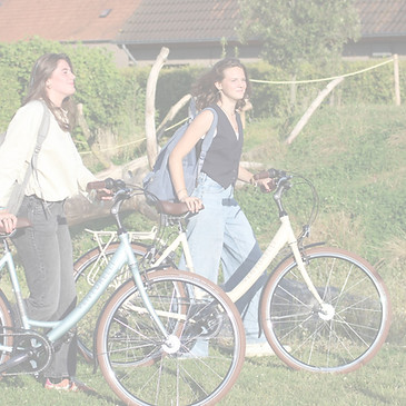 Venturelli elektrische fiets bij Fietsen Brackx Oostende, lokale fietsenwinkel voor e-bikes, stadsfietsen en onderhoud.