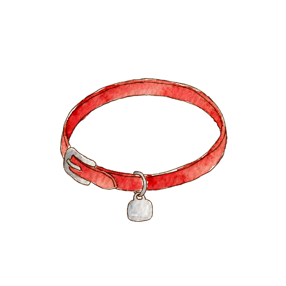 red_collar.png