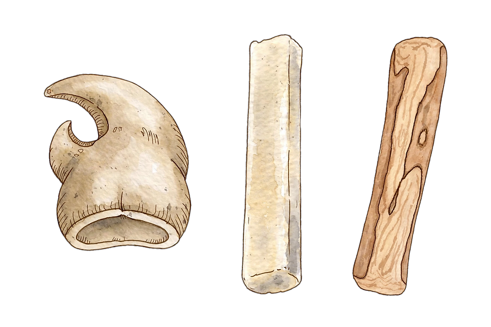 dog_chews (1).png
