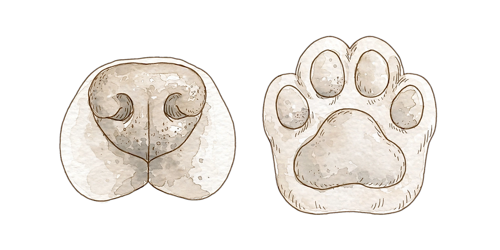 nose_paw.png