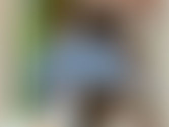 Les 4 dynamiques de la lecture : intellectuelle, émotionnelle, créative et culturelle