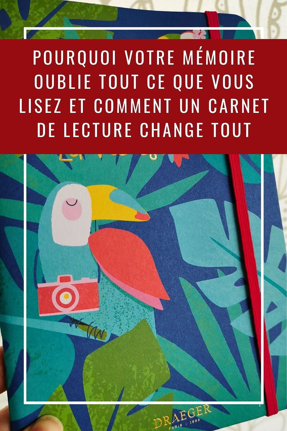 Pourquoi votre mémoire oublie tout ce que vous lisez et comment un carnet de lecture change tout