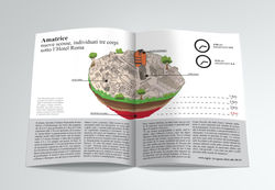Infografica Amatrice