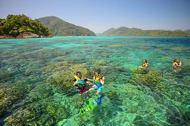 Iles Phiphi Khao Lak Snorkeling Plage