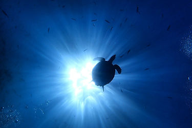 Similan