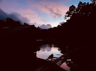 Khao Sok Cheow Lan Lake Lac Excursions Khao Lak