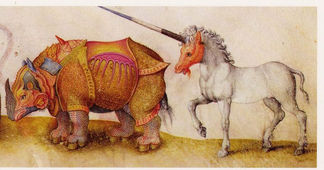 Rhinoceros 16