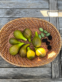 gardening courses in amsterdam