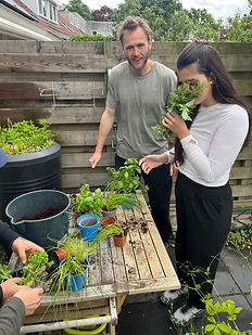 Urban gardening course in amsterdam
