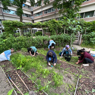 practical gardening