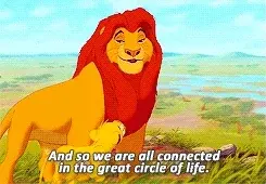 connect with others and with nature