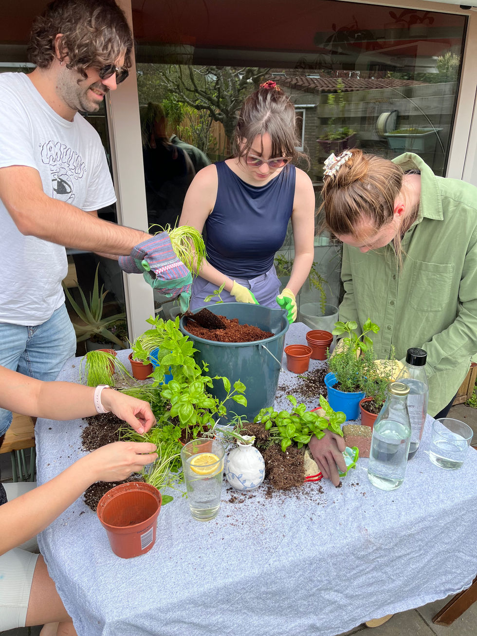 Amsterdam plant classes