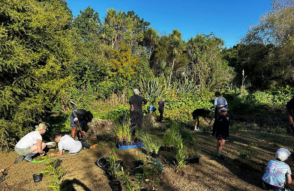 Community Planting Day: Philomel Reserve