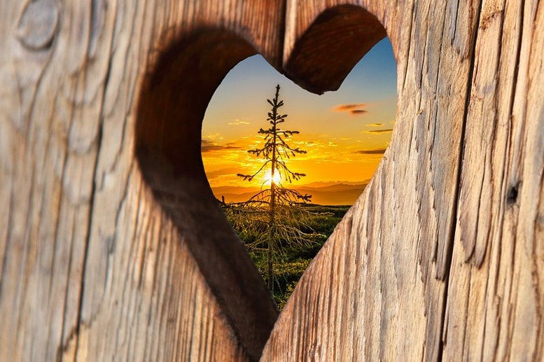Exploring Spirituality at Tree of Life Interfaith Temple